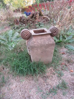 un vase posé au milieu de l'herbe