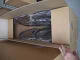 a person holding a box with a pair of shoes in it