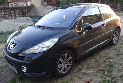 a picture of a small black car parked in the grass