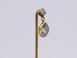 a close up of a pair of earrings on a stick