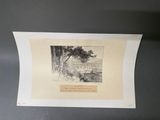 une vieille photo en noir et blanc d'un arbre dans un champ
