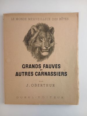 un vieux livre sur lequel est dessiné un lion