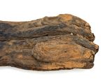 a close up of a piece of wood on a white surface
