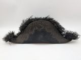 an image of a black hat with black feathers on a white background