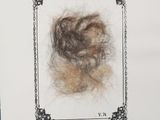 a picture of a picture of a piece of hair in a frame