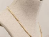 a close up of a mannequin with a necklace on it