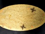an image of a plate with a lot of bugs on it