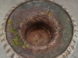 a rusted metal bowl with moss growing on it