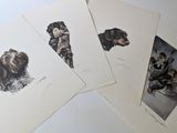quatre gravures représentant des chiens posés sur une table, sur fond blanc
