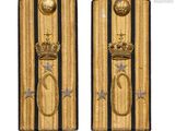 two gold and black badges with a crown on them