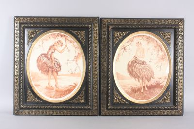 two framed pictures of an ostrich and an ostrich on a white background