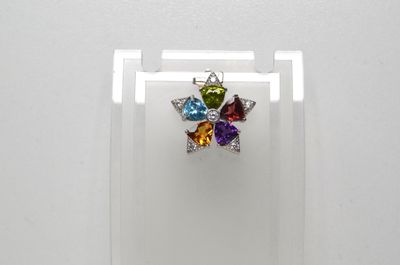 une photo en gros plan d'une paire de boucles d'oreilles dans une vitrine