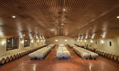 VENDU SUR DESIGNATION. 282 barriques bordelaises (225 Litres… - Photo 1