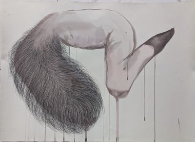 un dessin représentant un oiseau à longue queue sur une feuille de papier