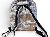 silver backpack with black straps and zippers on white background