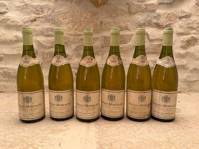 6 B Puligny-Montrachet 1er cru "Les referts". - Photo 1
