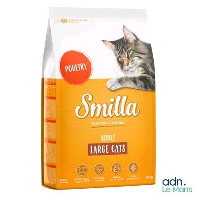 a close up of a bag of cat food on a white background