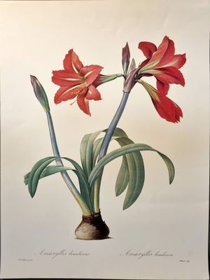 une image représentant un tableau d'une fleur rouge avec des feuilles vertes