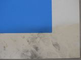 a picture of a blue and white painting on the wall
