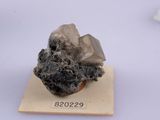 Photo 9/10 du lot