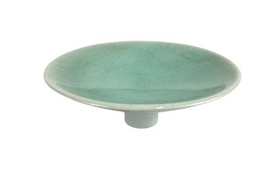 une assiette verte avec un fond blanc sur un fond blanc