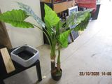 a plant that is sitting in a pot on the floor