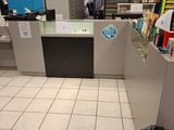 a dog that is laying on the floor in a store