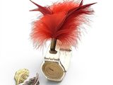a watch with a red feather on it sitting next to a leaf