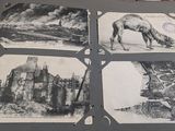 plusieurs photos en noir et blanc représentant un cheval et un château