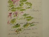 an old book with a drawing of a flower on it