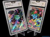 Deux cartes Pokémon sont exposées dans un étui en plastique transparent