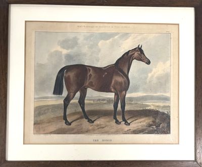 tableau représentant un cheval debout dans un champ, avec un ciel nuageux en arrière-plan