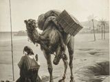 painting of a man kneeling down next to a camel with a basket on it ' s back