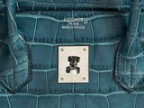 the blue alligator skin bag is on display in the store