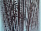 an image of a black and white drawing of a bunch of brush strokes