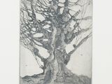 an image of a drawing of a tree with no leaves on it