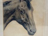 a drawing of a horse in a frame on the wall