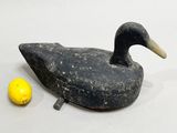 a duck that is next to a lemon on a table