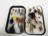 many different types of flies in a case