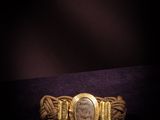a close up of a gold bracelet with a roman coin on it