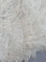 Plumes blanches, Europe, vers 1890-1900 (photo 6)