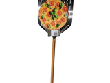 une pizza posée sur une spatule, sur fond blanc