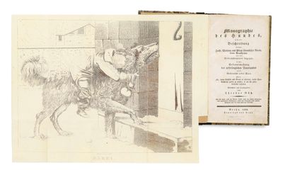 un vieux livre sur lequel figure le dessin d'un homme à cheval