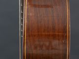 a close up of the back of a violin