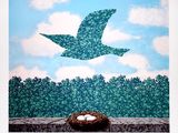 un oiseau survolant un nid contenant des œufs