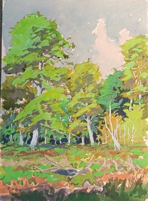 Pierre THIBAULT (XX)