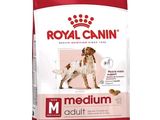 royal canin medium adult dry dog food