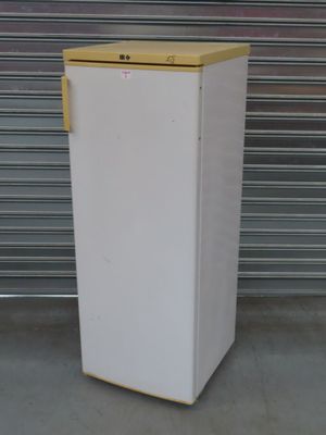 un réfrigérateur blanc avec le haut jaune, devant une porte de garage