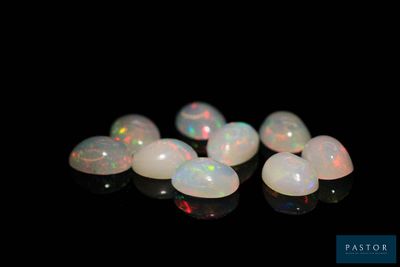 quelques oplites blancs sur une surface noire, avec un fond noir