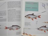 an open book with a picture of a fish and a fishing rod
